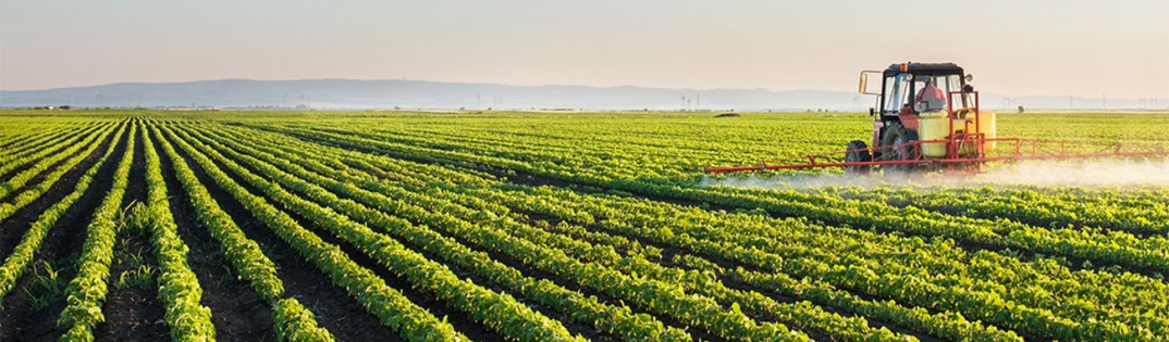 agricultura-no-campo-copia