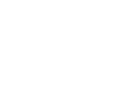 cropped-cropped-logobranca11